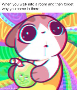 7C3C39B3-1935-49D8-9853-8E08E7EE3E91.jpeg