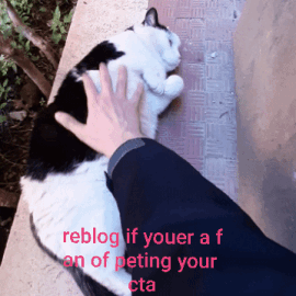 re.gif