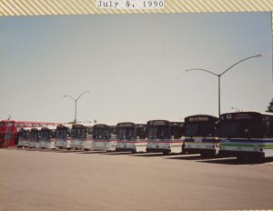 2020-09-03_1715_UnitransBuses-LineUp.jpg