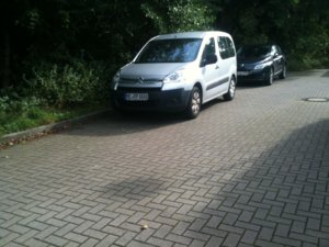 IMG_3438.JPG