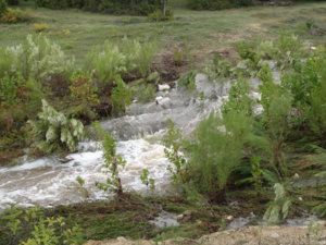 DSC01741.JPG