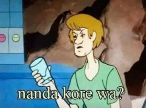 nandakorewa.jpg