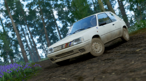 Horizon4-Rallye4.png