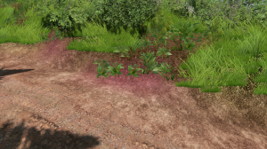 screenshot_2020-12-15_17-13-39.png