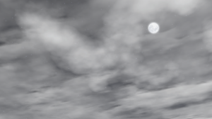 BeamNGdrivex642020-12-2120-31-19.png