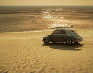 Weevilsunset.jpg
