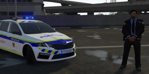 policija.jpg