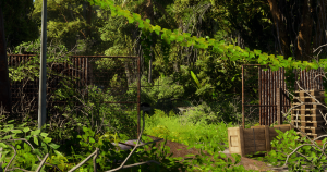 screenshot_2021-02-01_23-30-20.png