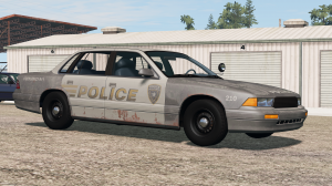 fullsizepolice_junk.png