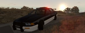 Trackinterceptor.jpg