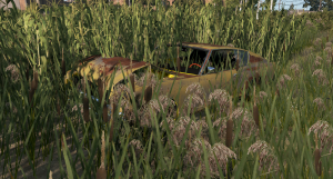 screenshot_2021-03-10_11-03-54.png