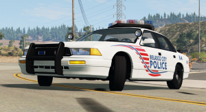 screenshot_2021-03-17_09-57-26.png