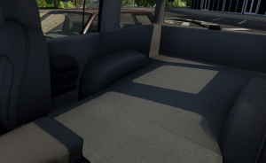 carpet2.png
