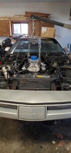 DF72E303-7A6C-477B-80CA-F840AE189D3A.jpeg