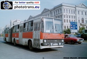 848402.jpg