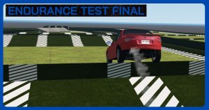 ENDURANCETESTFINAL.jpg