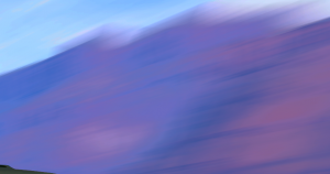 montage3.png