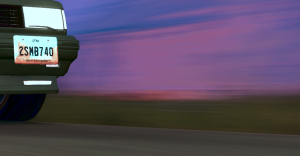 montage6.png
