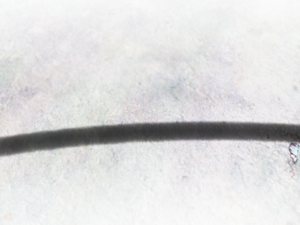 mytiremark.png