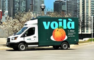 viola.jpg