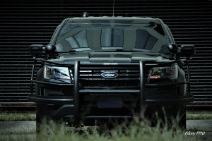 zoomedfront.jpg