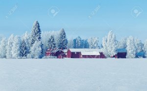 snow1.jpg