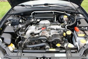 ej253.jpg