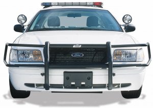 go_rhino_cv__606841562085783.jpg