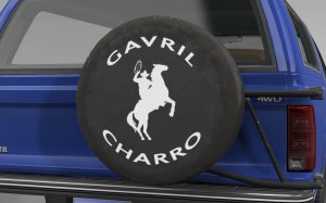 pickup_charrosparecover.jpg