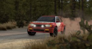 WidenRally.jpg