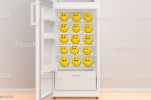 brumlet_fridge.png
