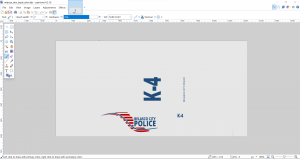bcpd3.png