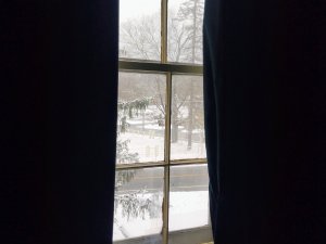 IMG_20211224_130618808.jpg