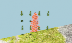 Skjermbilde2022-01-12004508d.png