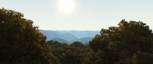 Screenshot_2022-02-25_01-38-18.png