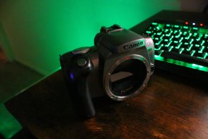 IMG_4839.jpg