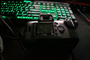 IMG_4844.jpg