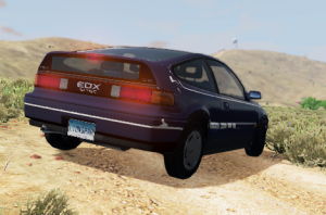 customedx.png