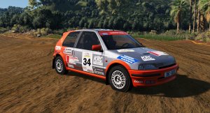 Custom_Rally.jpg