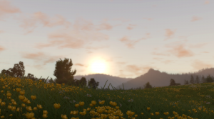 screenshot_2022-05-07_12-52-14.png