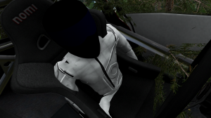 BeamNGCrash7.png
