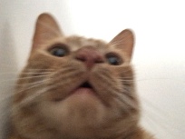9F588BC0-A986-43DB-84A7-A357B4EA14A8.jpeg