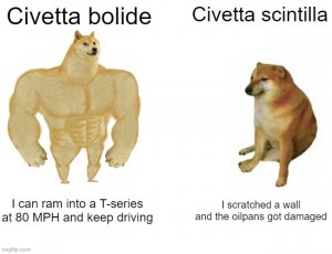 download.jpg
