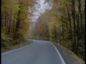 278665758-curve-form-deciduousforest-country-road-car-ride.jpg