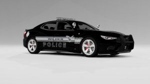 WilderPolice.jpg