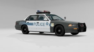 Policel4dA.jpg