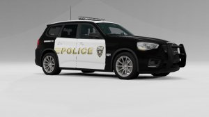 Police.jpg