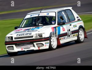 une-peugeot-205-gti-1-6-a-la-voiture-de-course-le-circuit-automobile.jpg