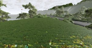 AAGrass.jpg
