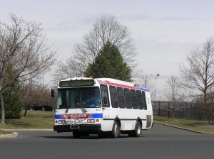 gravilwentwarddm401.jpg